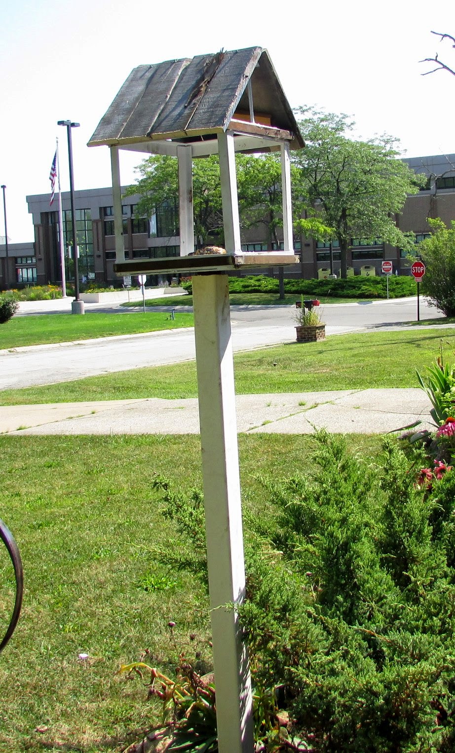 Do It Yourself Bird feeder