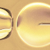GENESIS DAY SURGERY </br><small>Centro Specializzato in Medicina della Riproduzione</small>