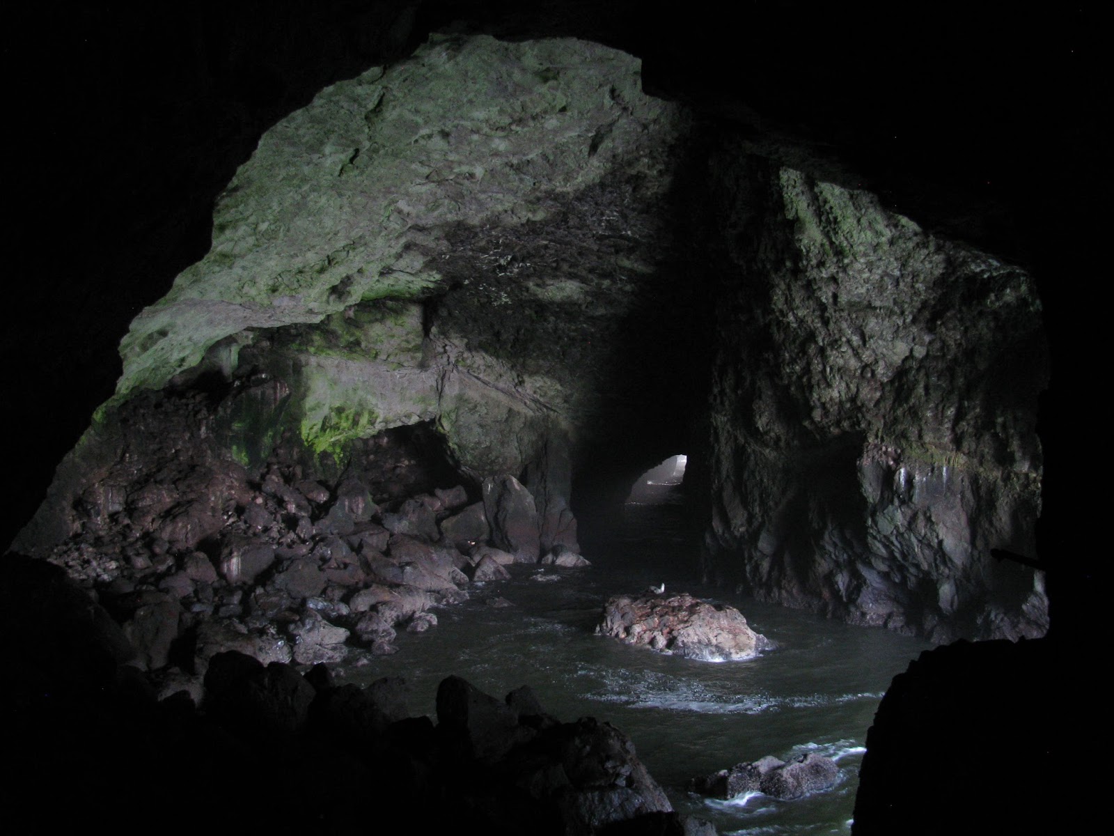 Weekend Wanderluster: Sea Lion Caves (Lane County, Oregon)