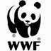 Περισσότερα από τα μισά ζώα του πλανήτη εξαφανίσθηκαν μέσα σε 40 χρόνια εξαιτίας του ανθρώπου, λέει το WWF