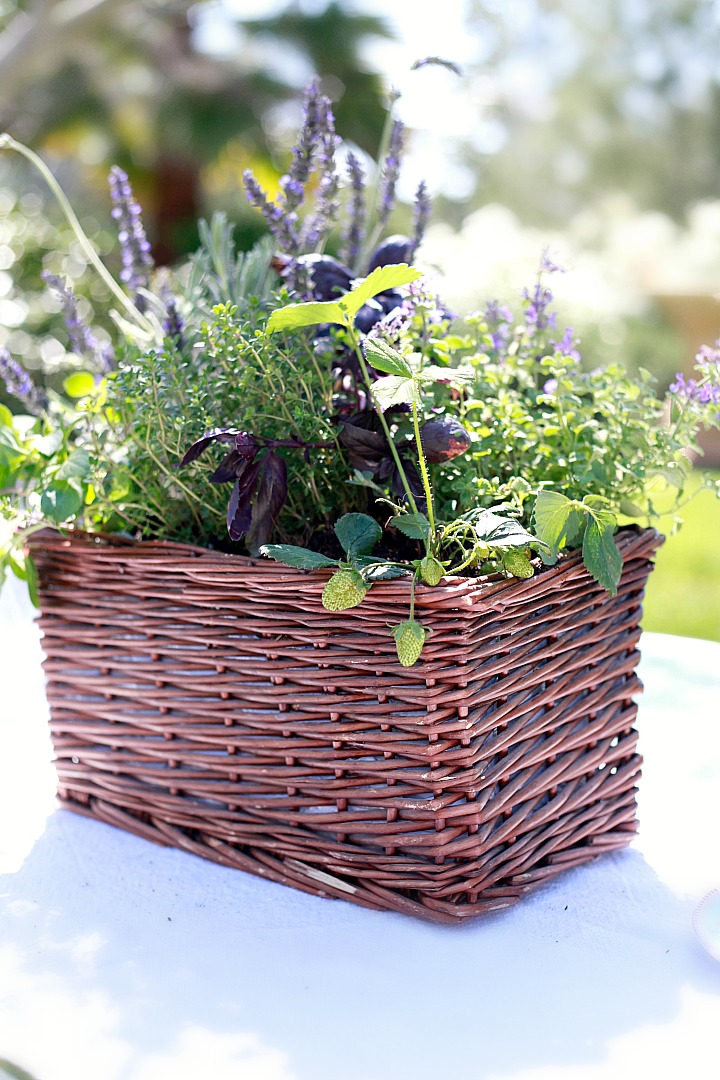 DIY Kitchen Herb Garden Beautiful DIY kitchen herb garden centerpiece.