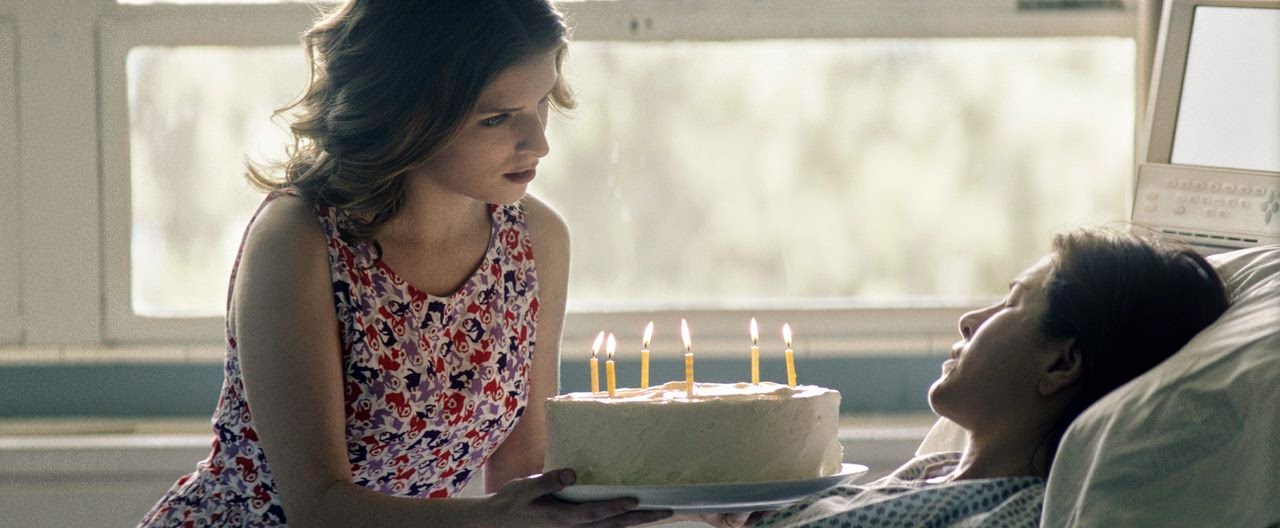 Kek-Nina Collins-Claire Bennett cake-anna kendrick-jennifer aniston