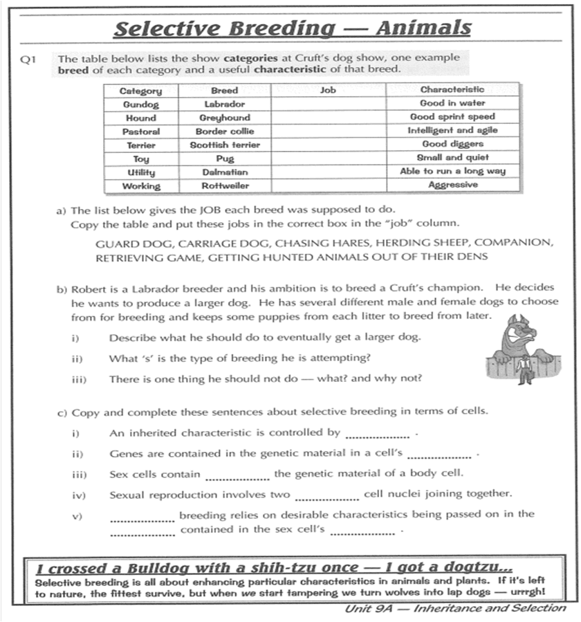 Children homework sheets picture