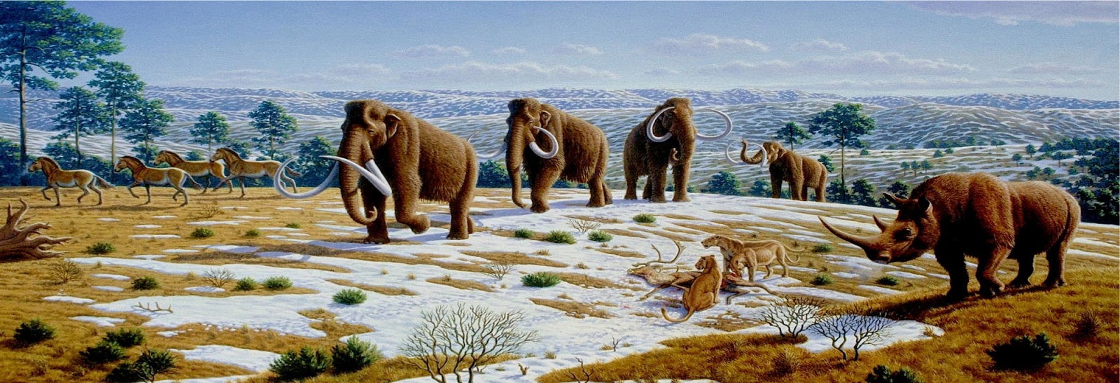 Blog de la clase de Biología y Geología de 1º de Bachillerato del IES Las Lagunas Era Cenozoica.