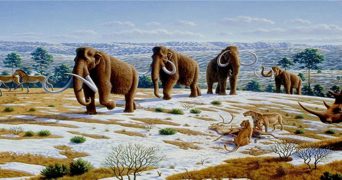Blog de la clase de Biología y Geología de 1º de Bachillerato del IES Las Lagunas Era Cenozoica.