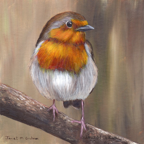 Janet M Graham's Painting Blog: Robin No 11 in acrylics