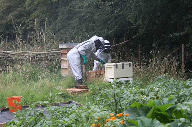 beekeeping
