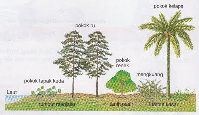 TUMBUHAN SEMULA JADI DAN HIDUPAN LIAR Hutan Pantai TUMBUHAN SEMULA JADI DAN HIDUPAN LIAR Hutan Pantai
