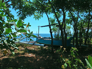 Fisherman Fishing Boat Retired In The Beach Plant Tree