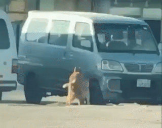 aaba201c4da1a6897c134ae2125c422f.gif