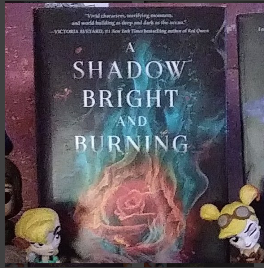Melih Youtube A Shadow Bright and Burning Review