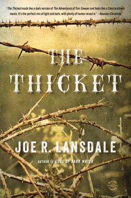 the thicket by joe lansdale the thicket by joe lansdale