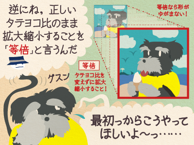 チップくん「逆にね、正しいタテヨコ比のまま拡大縮小することを『等倍』と言うんだ」ジミー「最初っからこうやってほしいよ〜」