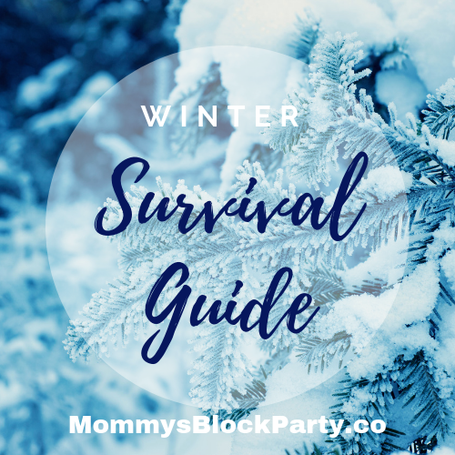 Winter Survival Guide