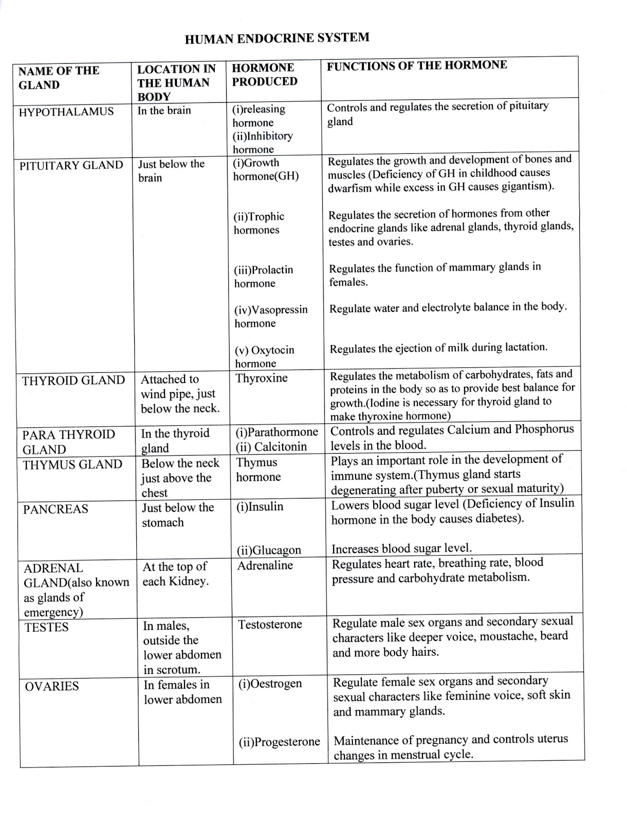 Class 10th Notes: Control and Coordination- Human Endocrine System