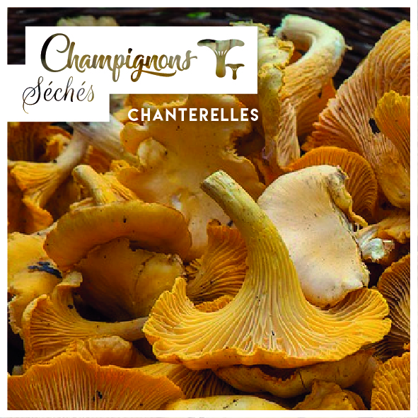 étiquettes pour champignon seché