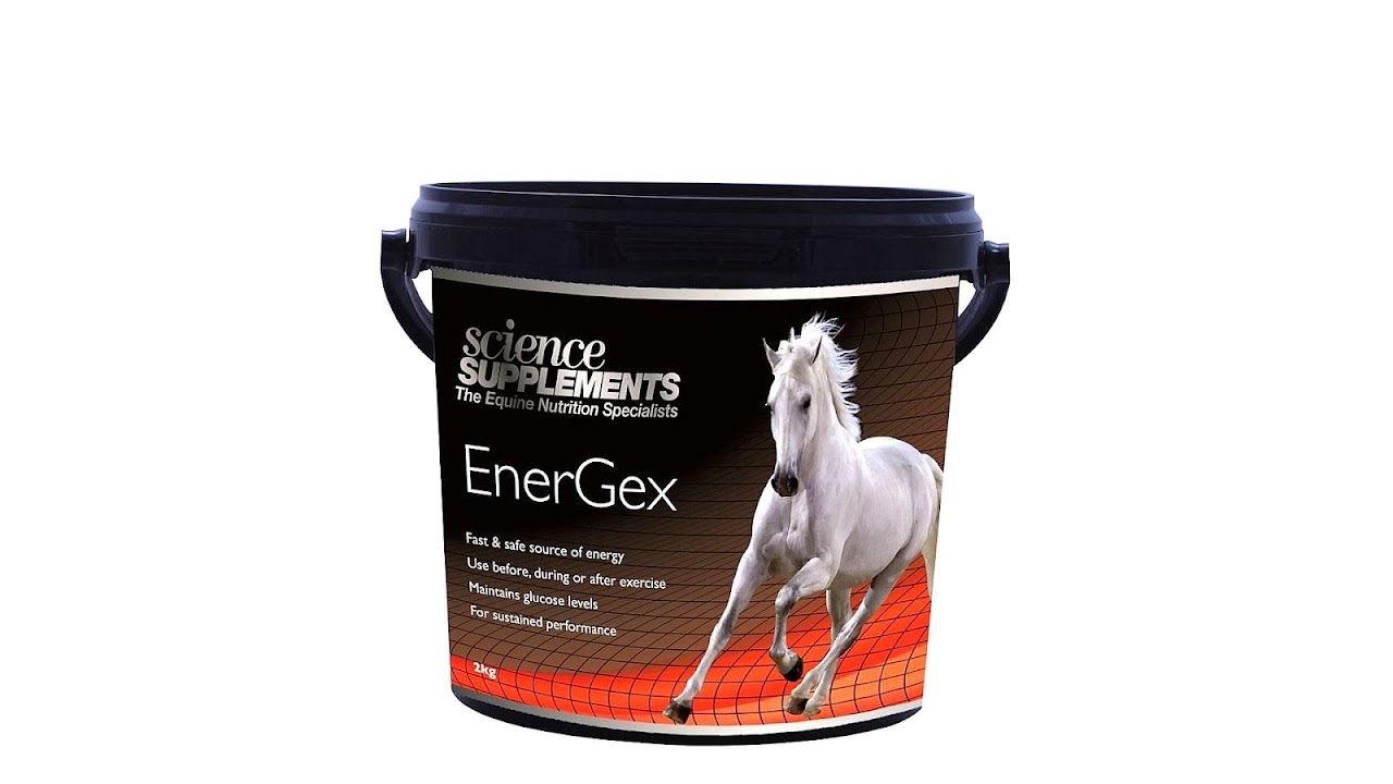 Energy Supplements For Horses Energy Choices