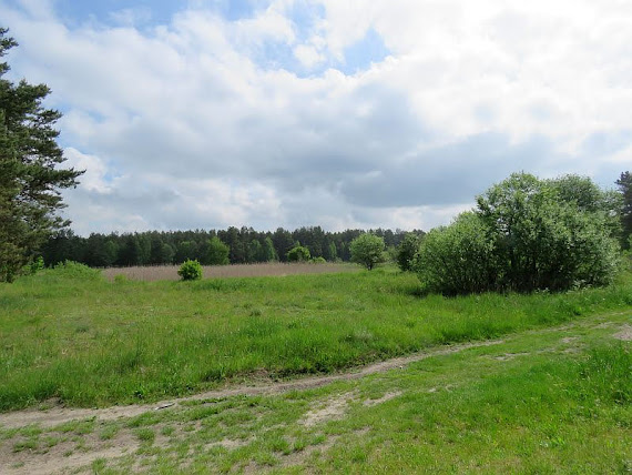 Dolina Białki dolina