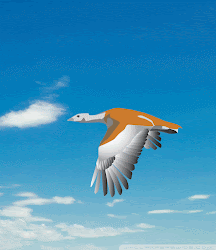 bird interchange graphics flying lion giphy roar animated lowgif