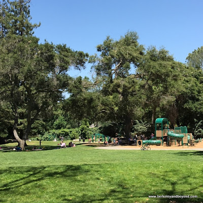 playground at Shoup Park in Los Altos, California