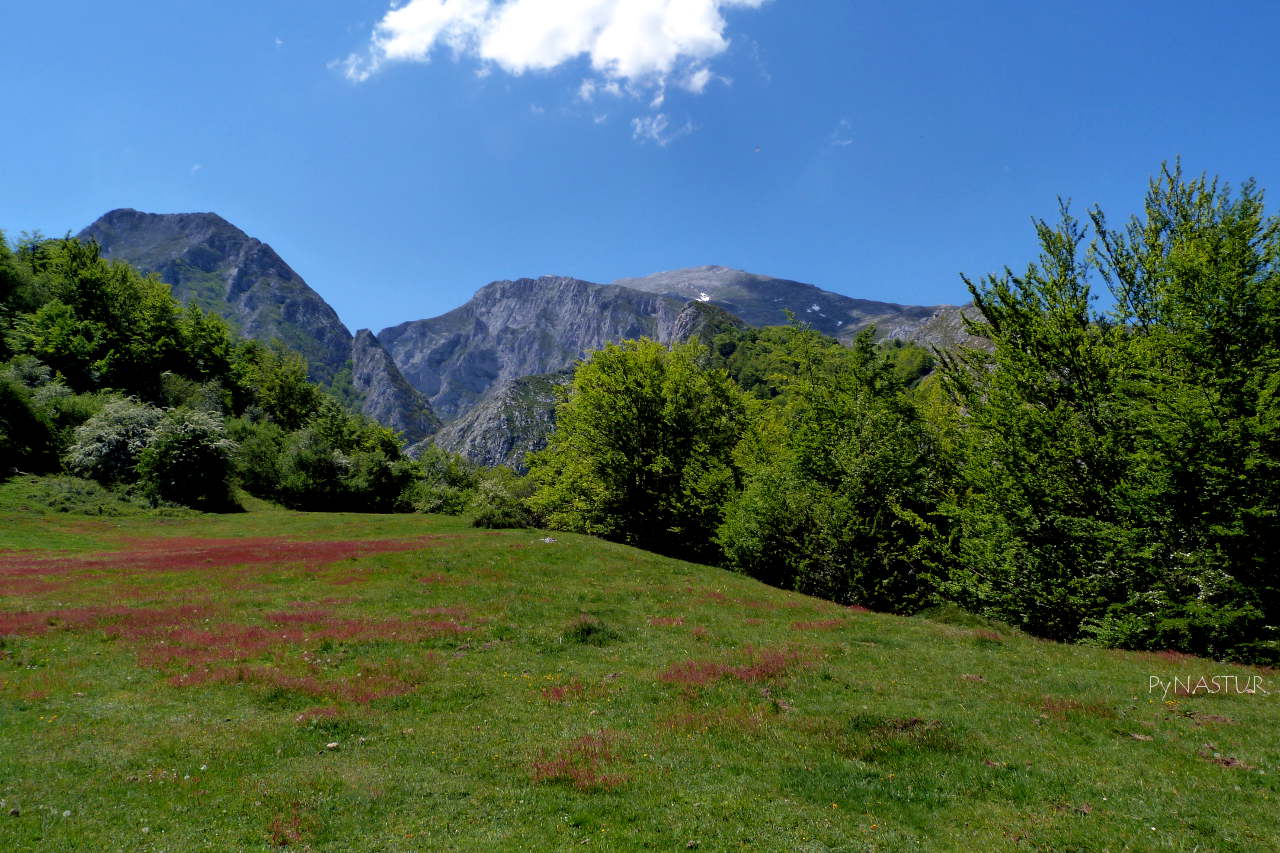 Pradería en el Gobizal de La Foix con Pena Arpín y Pena Rueda al fondo - Bosque de Lindes - Quirós Pradería en el Gobizal de La Foix con Pena Arpín y Pena Rueda al fondo - Bosque de Lindes - Quirós