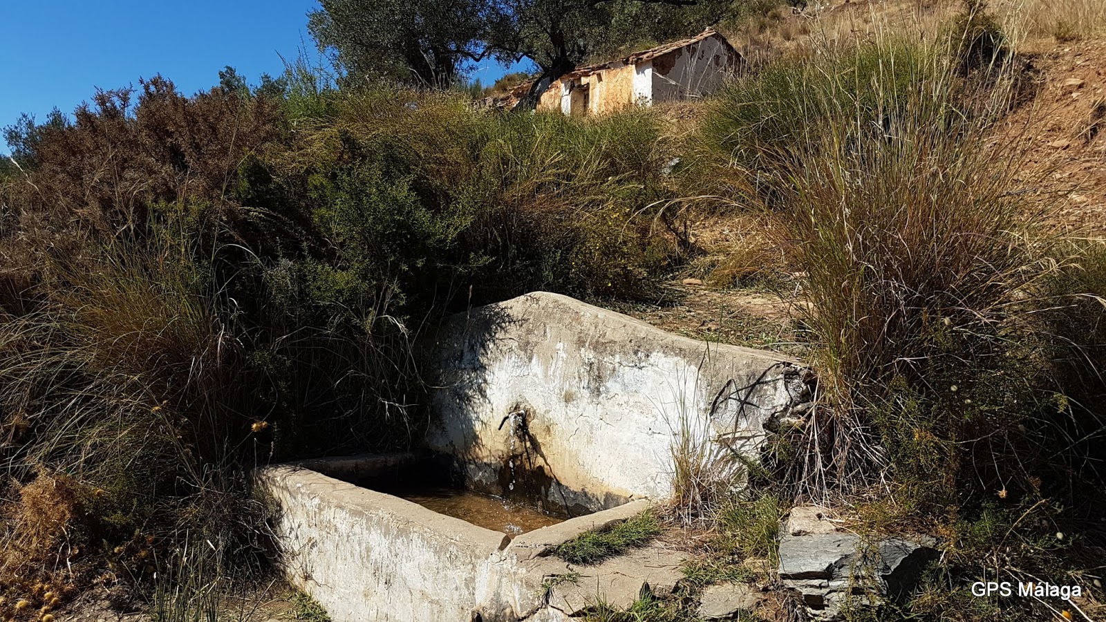 Foto de Fuente del Nicar en Canillas de Aceituno, Málaga