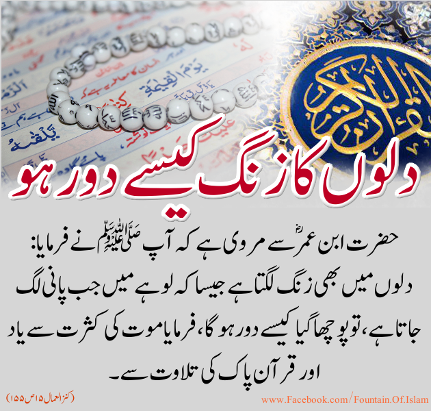 Islamic Urdu Hadees Urdu Artical Aqwal E Zareen In Urdu