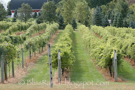 Winery Minnesota Bliss-Ranch.com