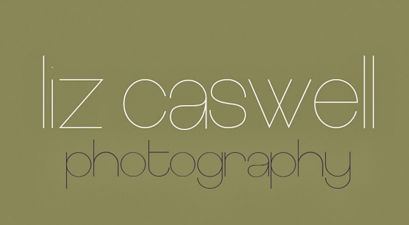 liz caswell photography