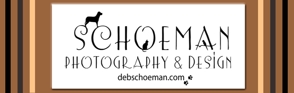 Deb Schoeman Photography