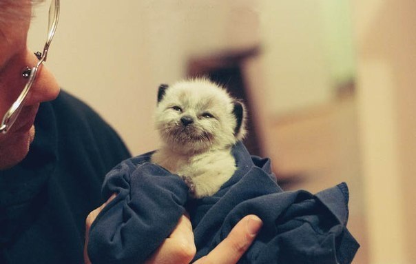 Готовься к великой цели (пятничное эссе)