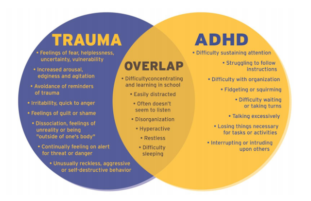Elementary Counseling Blog: Is it ADHD or Trauma?