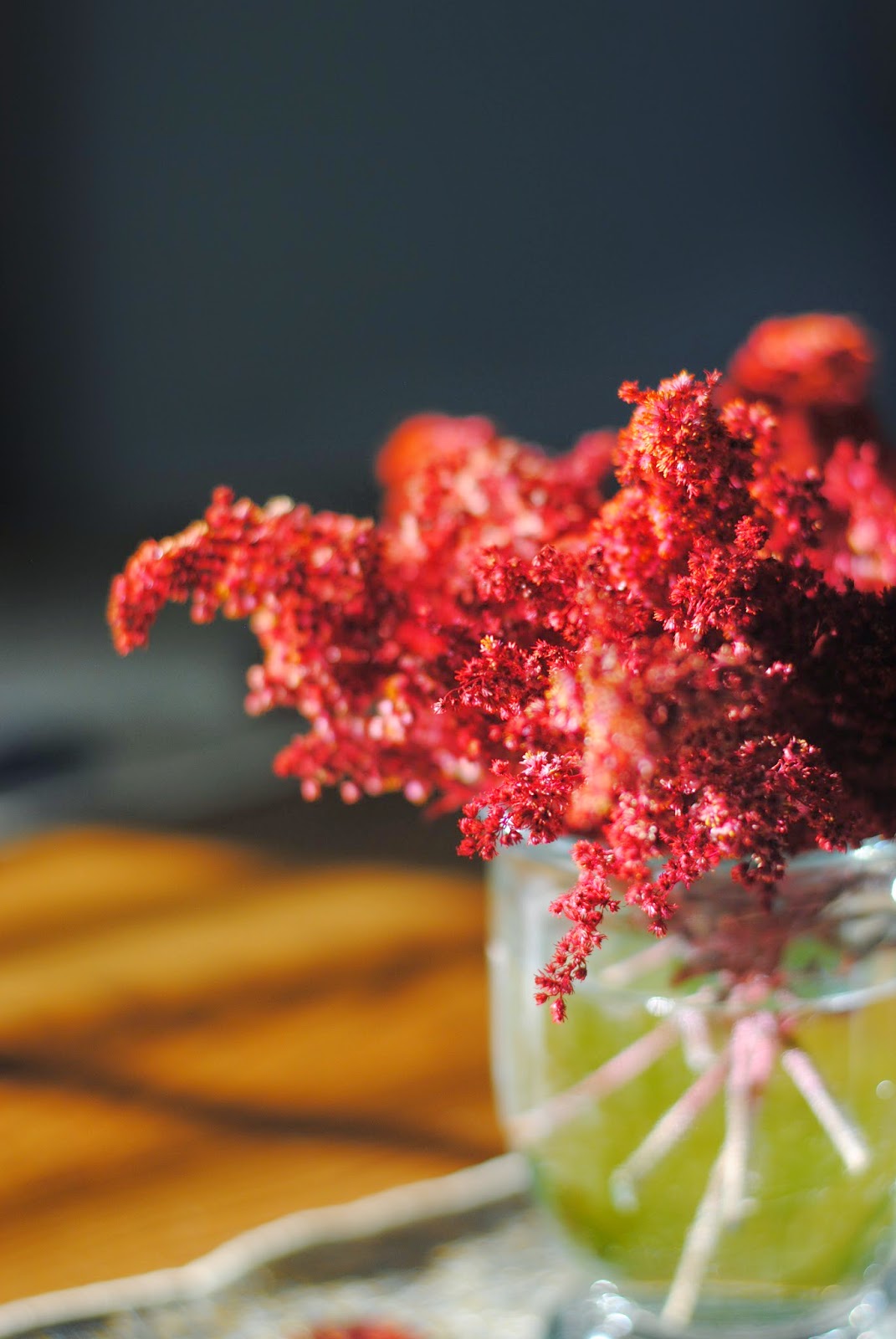 Double M Photography: Fuzzy Red Flowers | Day 271 of 365