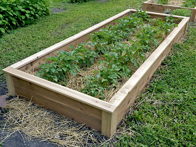 Western Red Cedar Raised Garden Bed by Artist and Builder Minnesota Western Red Cedar Raised Garden Bed by Artist and Builder Minnesota