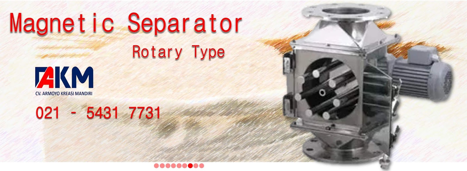 magnetic rotary separator