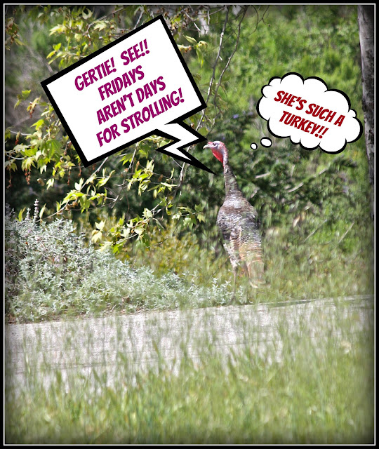 Silver Linings 4 ME FRIDAY FUNNIES!!!