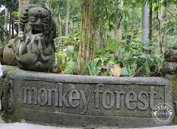 Wow Perubahan Monkey Forest Ubud
