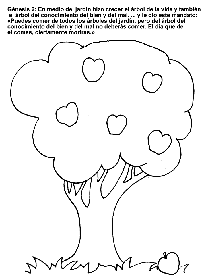 Dibujo del Genesis para colorear ~ Dibujos Cristianos Para Colorear