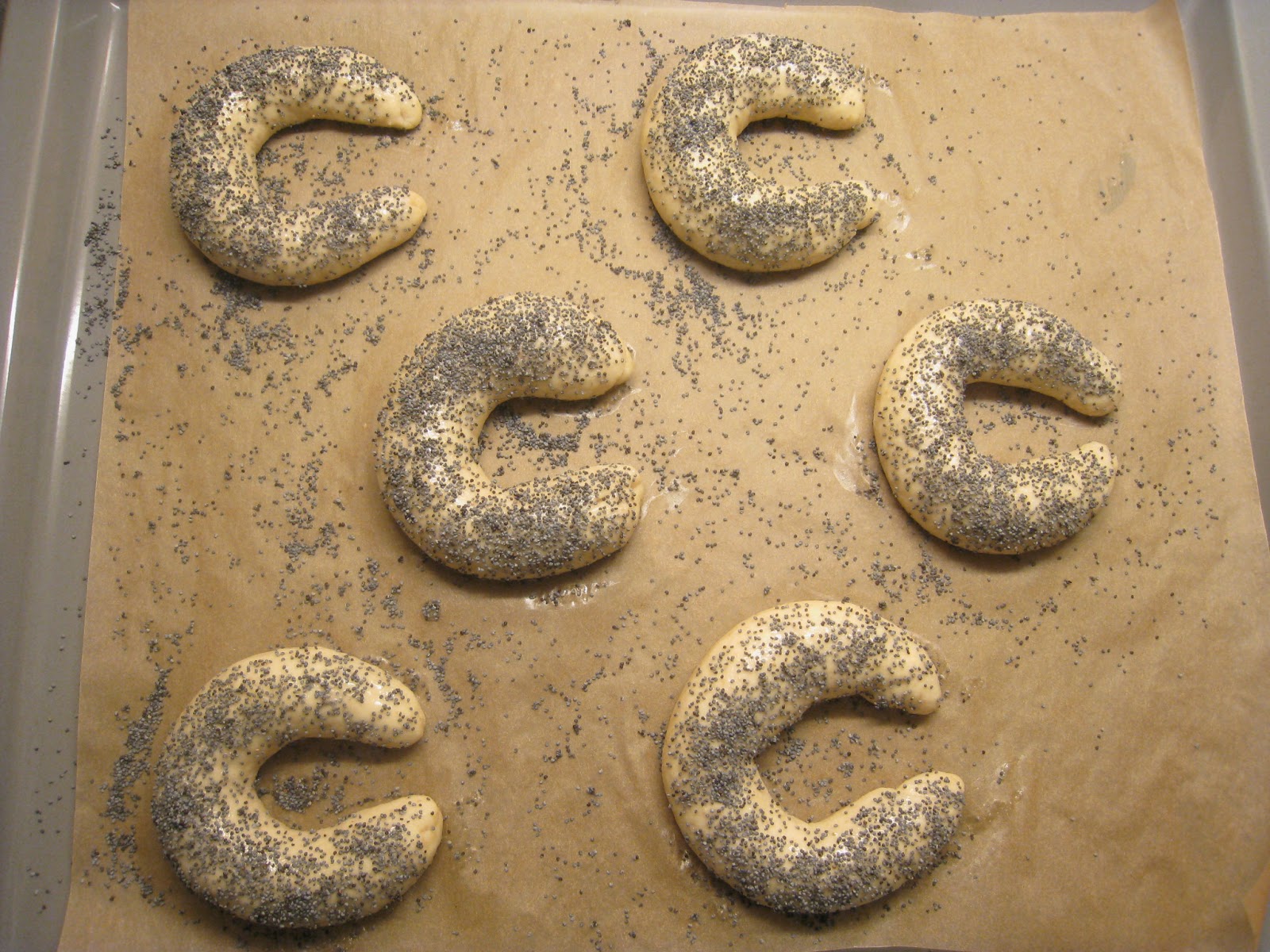 Kazuo: Mohnhörnchen mit Weizenkeimen 胚芽パン