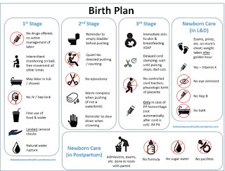 birth planning sagefeminist birth plan examples epidural
