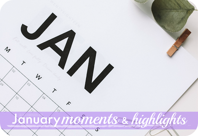 january moments and highlights