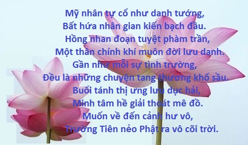 Nam mô A Di Đà Phật (Cỏ - Thuốc. BLOGSPOT.com) 万行道孝位先 * 萬億德孝位主 