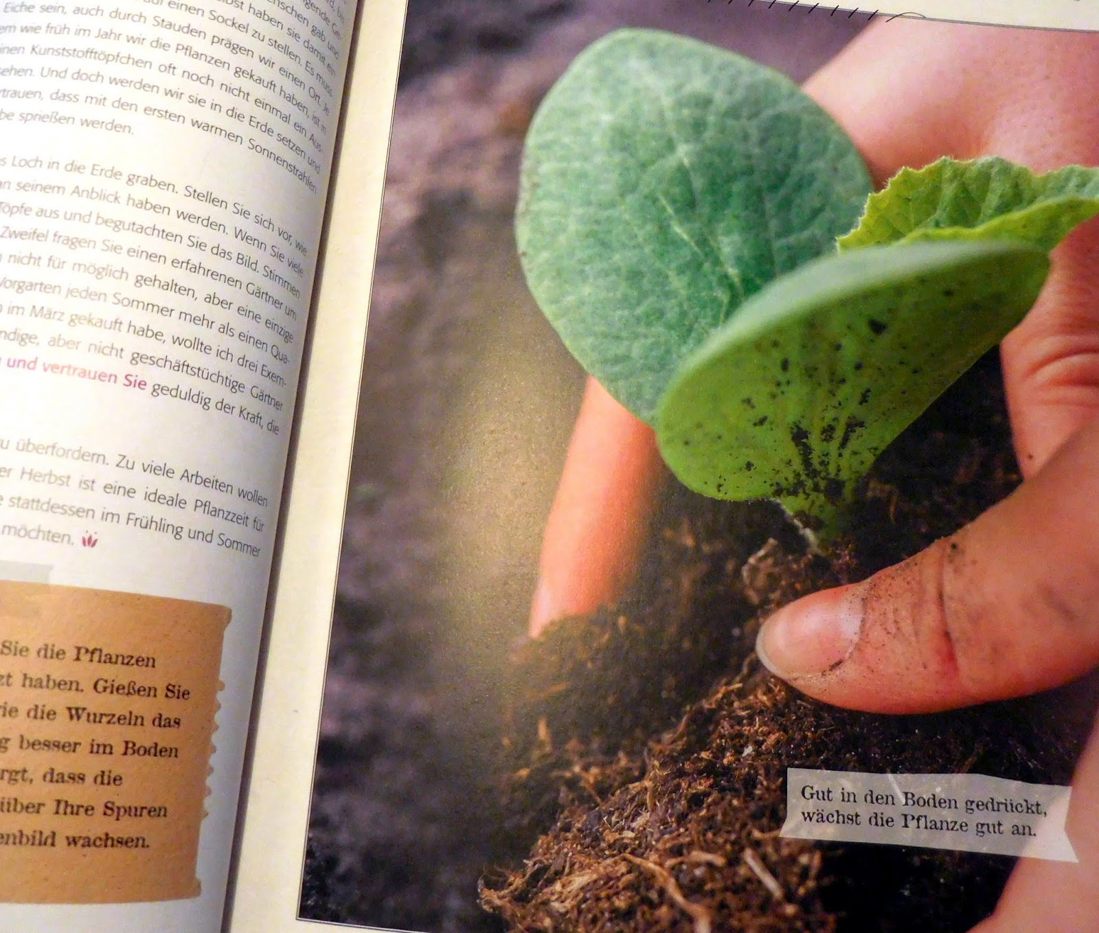NaturNah Buchrezension Achtsam gärtnern