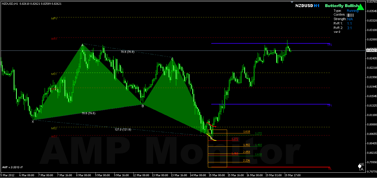 Amp forex