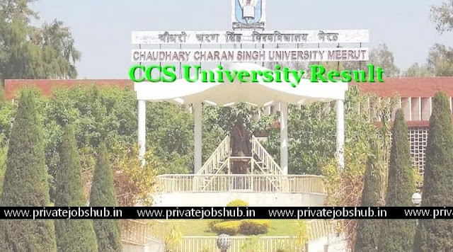 CCS University Result CCS University Result