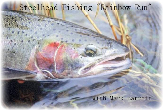 Steelhead fishing "Rainbow Row"