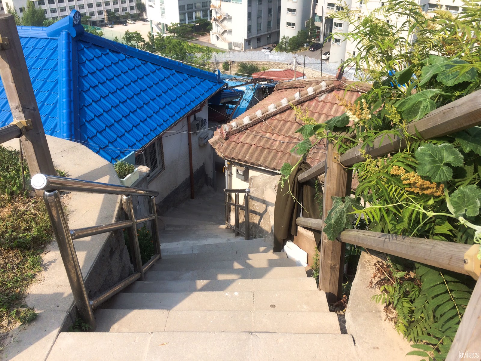 Seoul, Korea - Summer Study Abroad 2014 - Seoul Fortress Trail - Naksan Trail Course - Stairs to nearby residential neighborhood