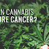 Does Marijuana really kill Cancer Cells?