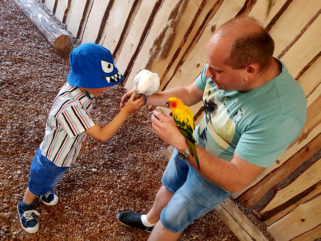 Papugarnia Kubuś & Endriu - Oborniki Śląskie - podróże z dzieckiem - atrakcje dla dzieci na Dolnym Śląsku 