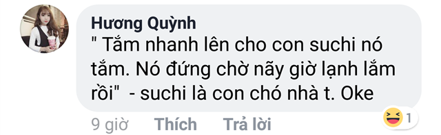 không bằng con chó, con mèo 8 không bằng con chó, con mèo 8
